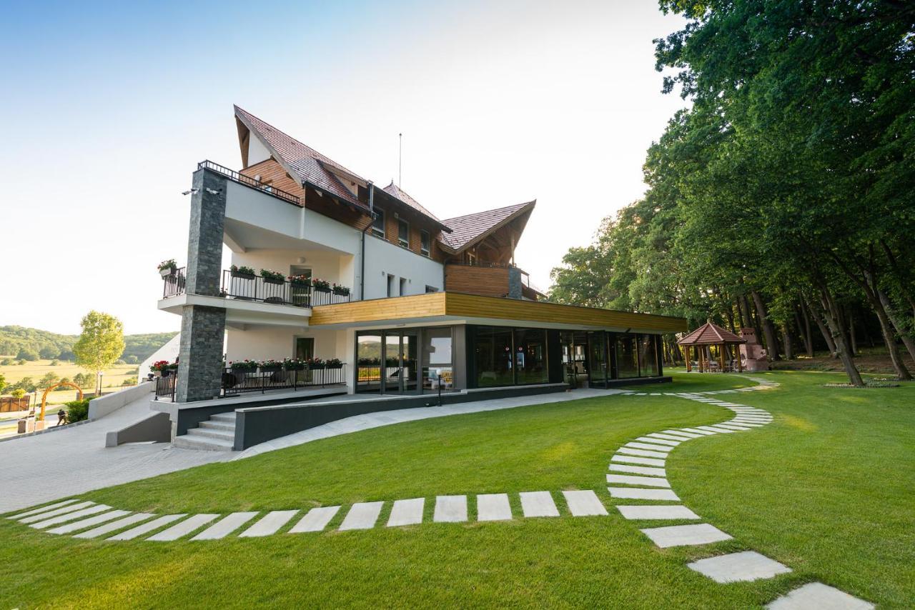 Panorama Boutique Hotel Sfântu Gheorghe Bagian luar foto