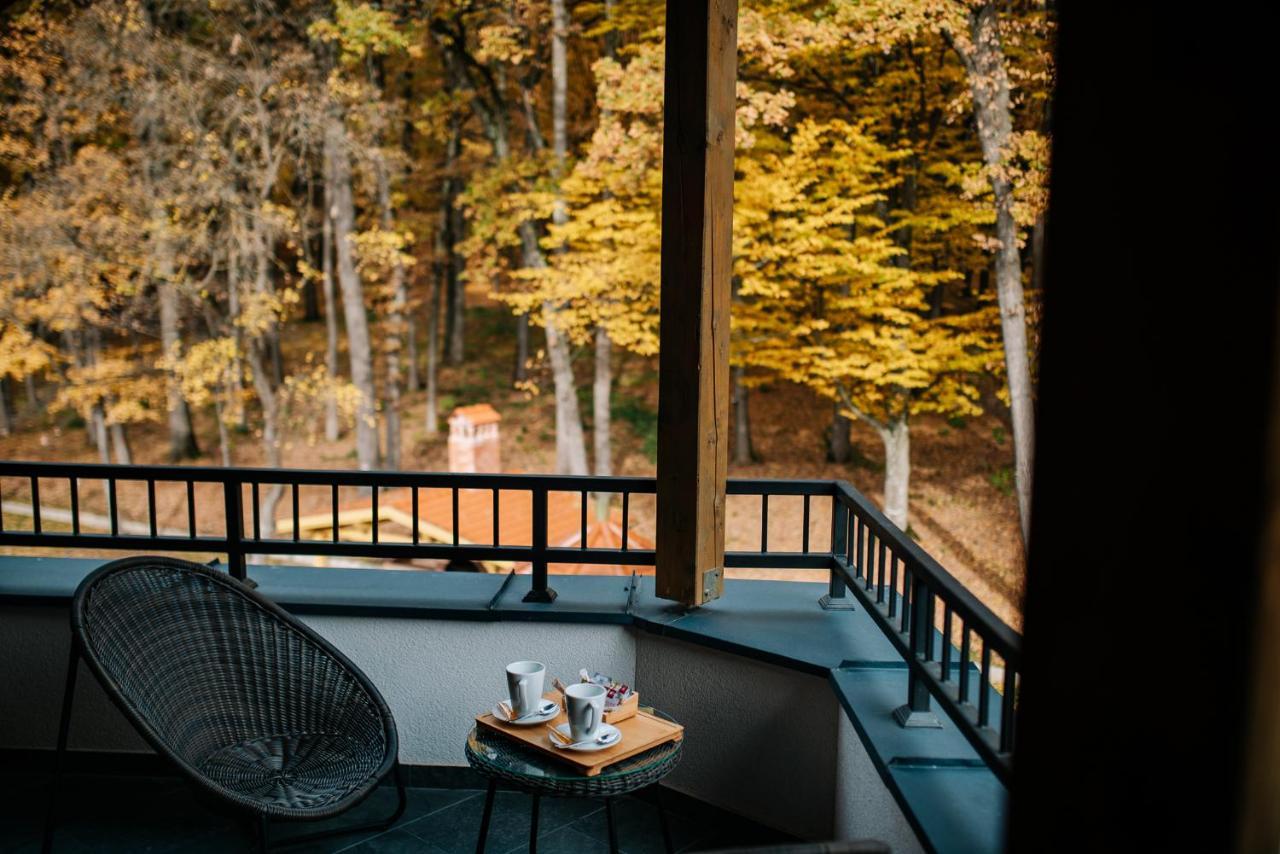 Panorama Boutique Hotel Sfântu Gheorghe Bagian luar foto